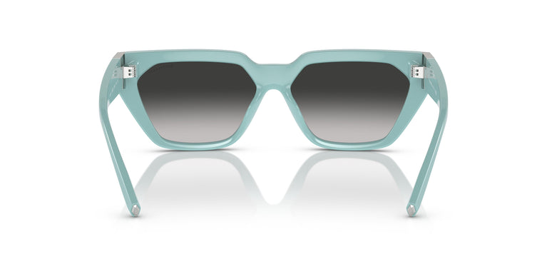Tiffany TF4205U  83883C 56