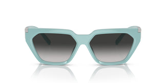 Tiffany TF4205U  83883C 56