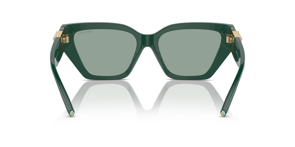 Tiffany TF4218 840882 55