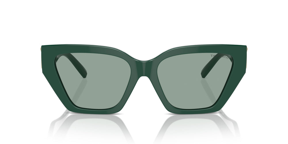 Tiffany TF4218 840882 55