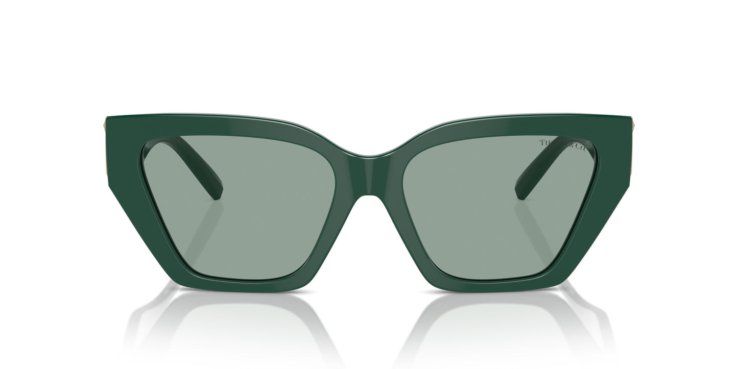 Tiffany TF4218 840882 55