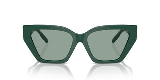 Tiffany TF4218 840882 55