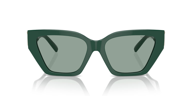 Tiffany TF4218 840882 55