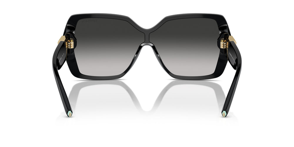 Tiffany TF4219 80013C 0