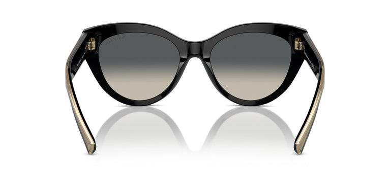 Tiffany TF4220 800171 54