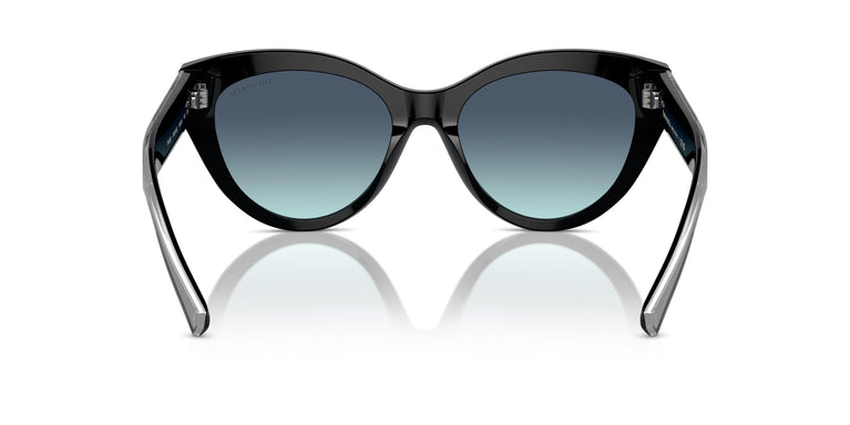 Tiffany TF4220 80019S 54