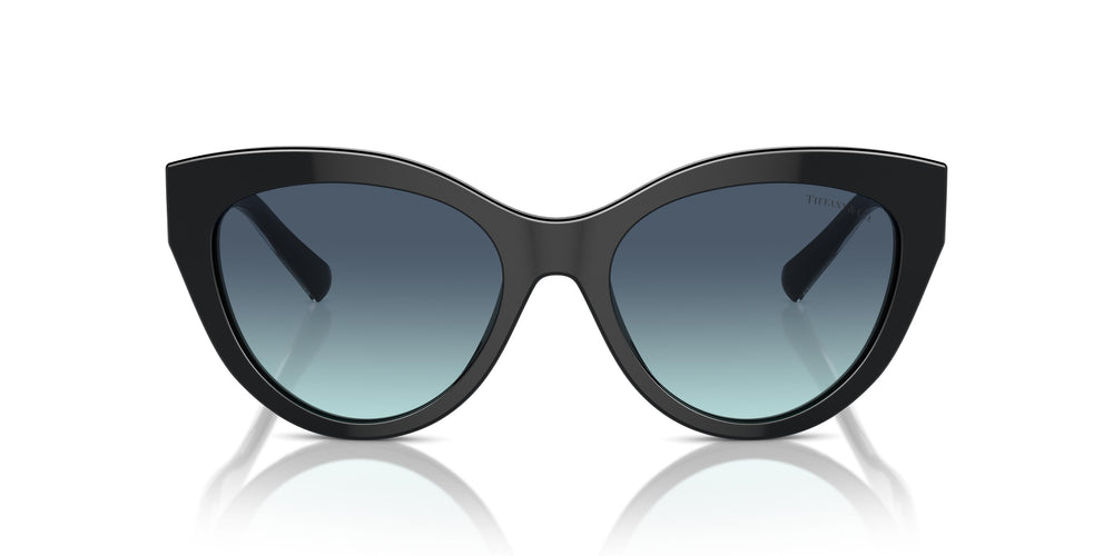 Tiffany TF4220 80019S 54