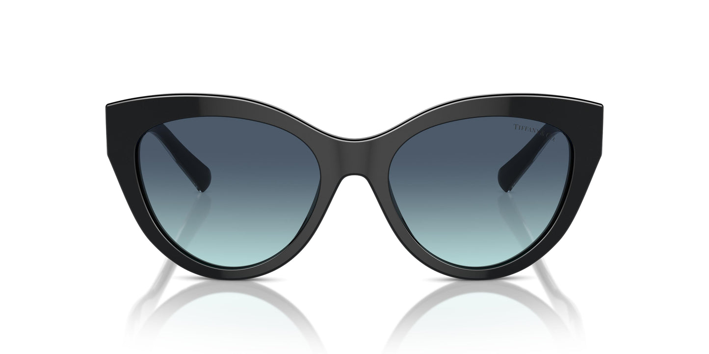 Tiffany TF4220 80019S 54