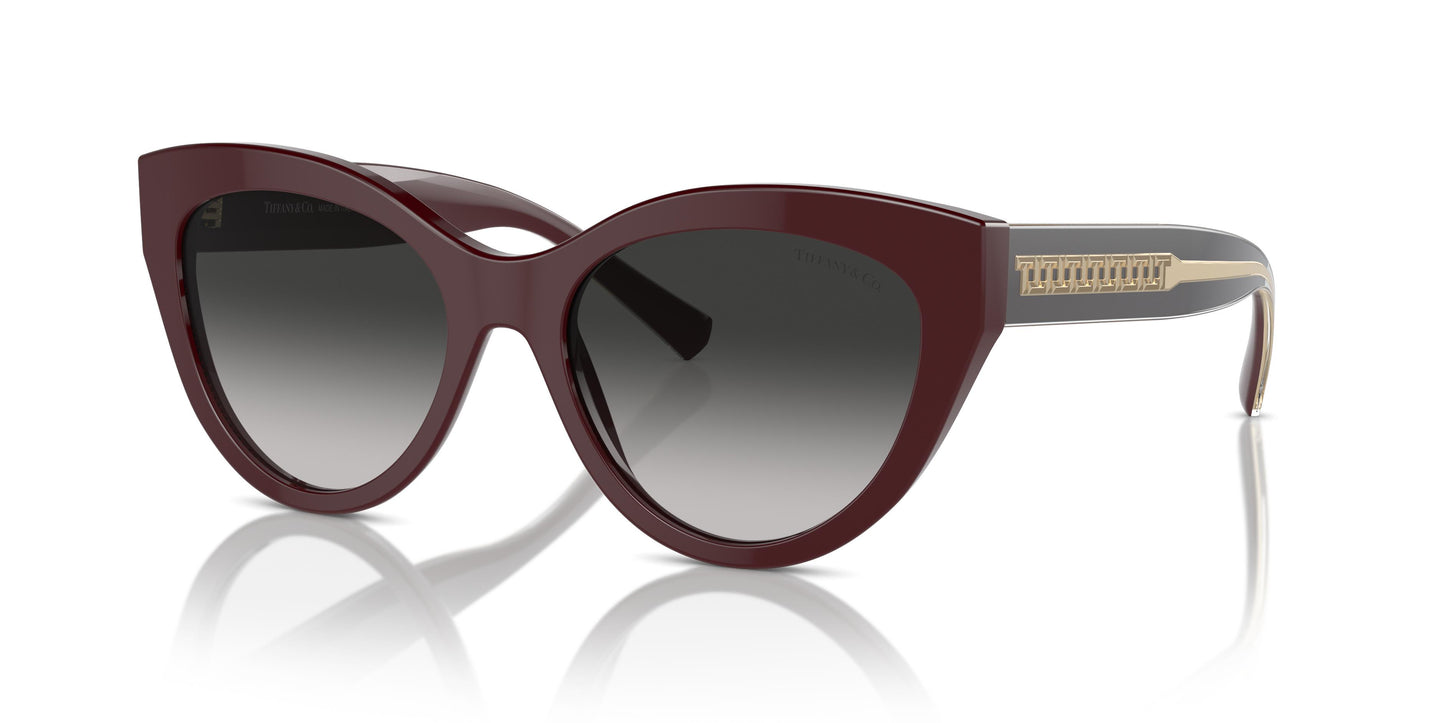 Tiffany TF4220 83893C 54