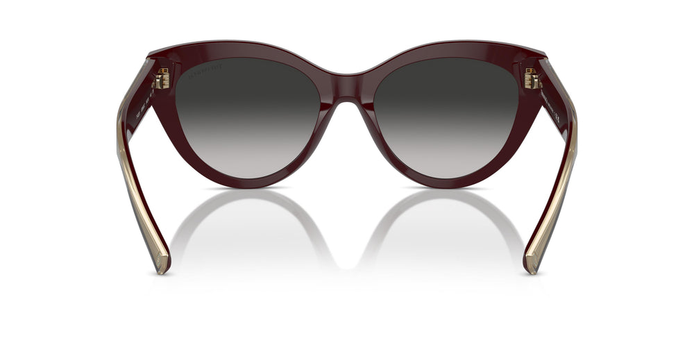 Tiffany TF4220 83893C 54