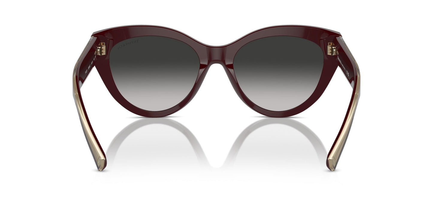 Tiffany TF4220 83893C 54