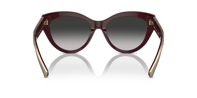 Tiffany TF4220 83893C 54