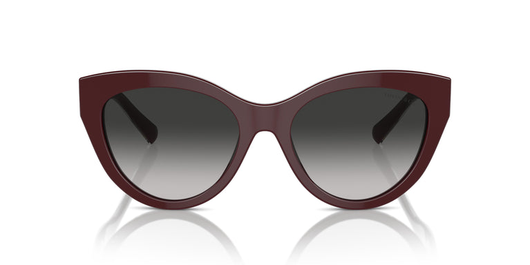 Tiffany TF4220 83893C 54