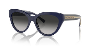 Tiffany TF4220 83963C 54