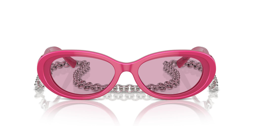 Tiffany TF4221 841176 54