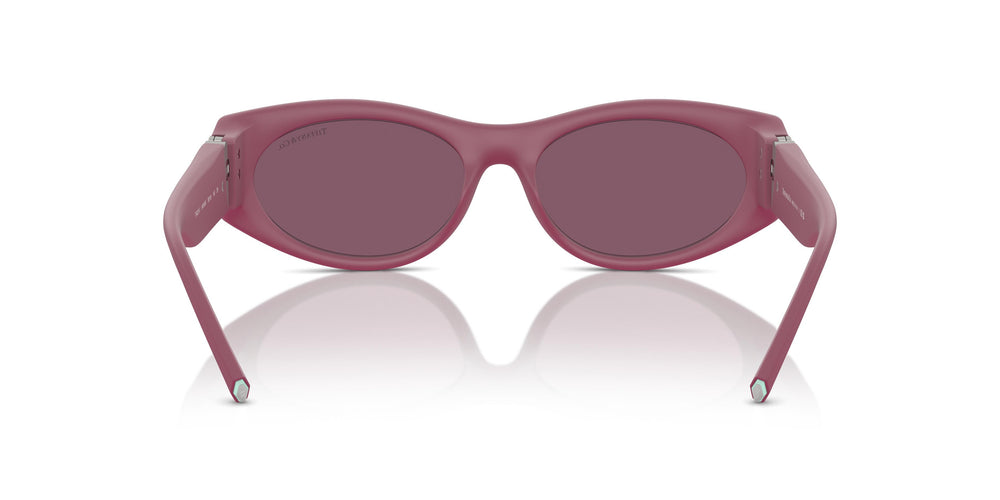 Tiffany TF4222U 8416AK 55