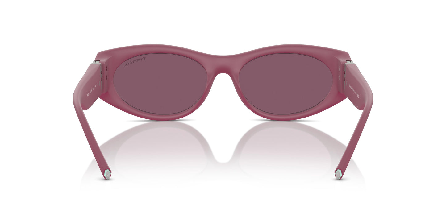 Tiffany TF4222U 8416AK 55