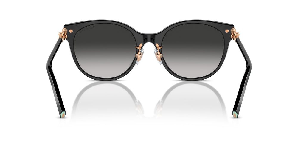 Tiffany TF4223D 80013C 54