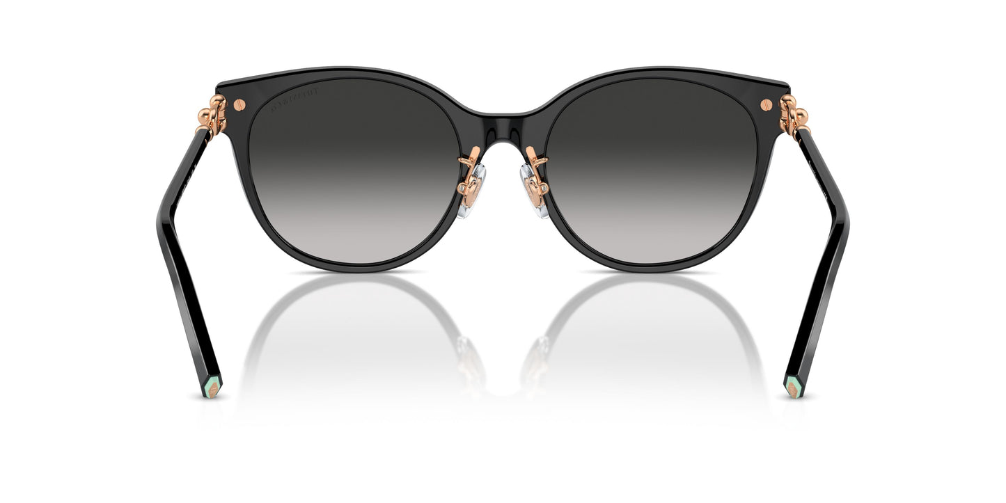 Tiffany TF4223D 80013C 54