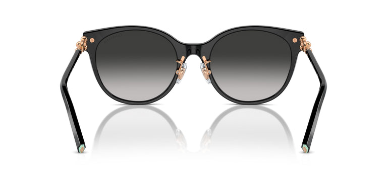 Tiffany TF4223D 80013C 54