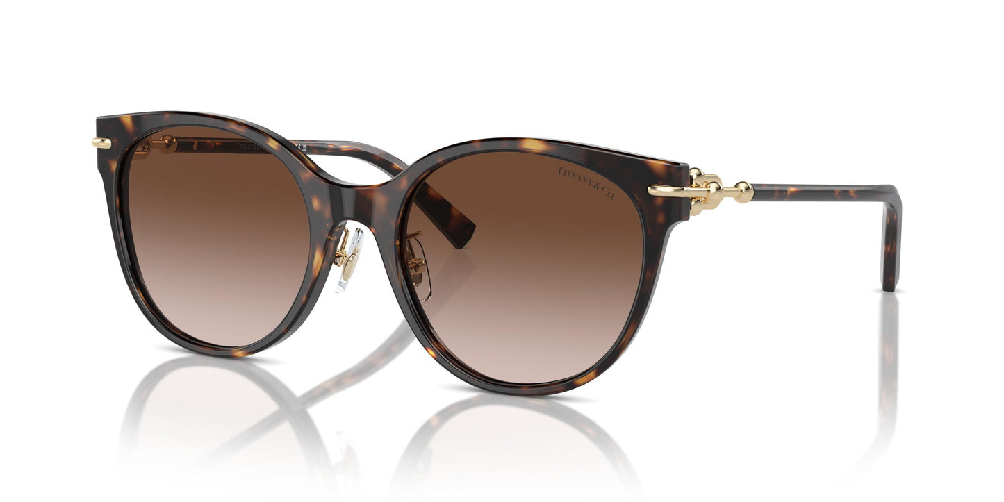 Tiffany TF4223D 80153B 54
