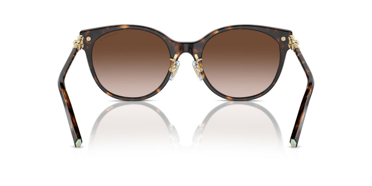 Tiffany TF4223D 80153B 54