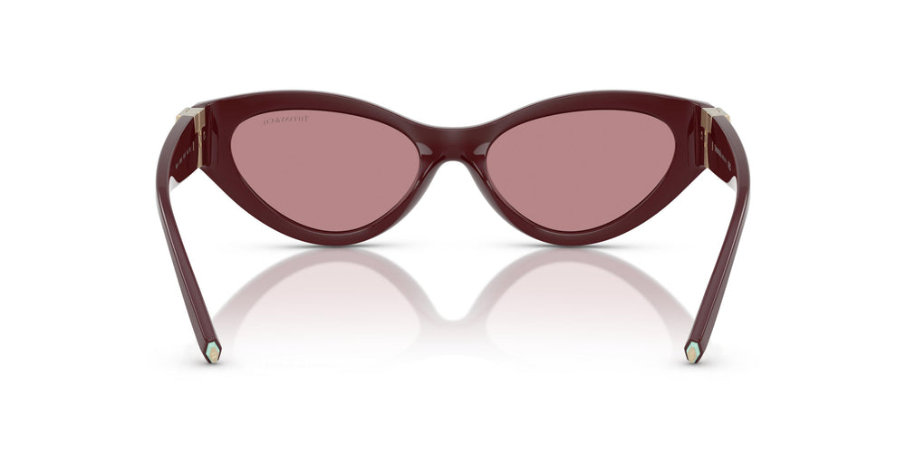 Tiffany TF4225U 838930 54