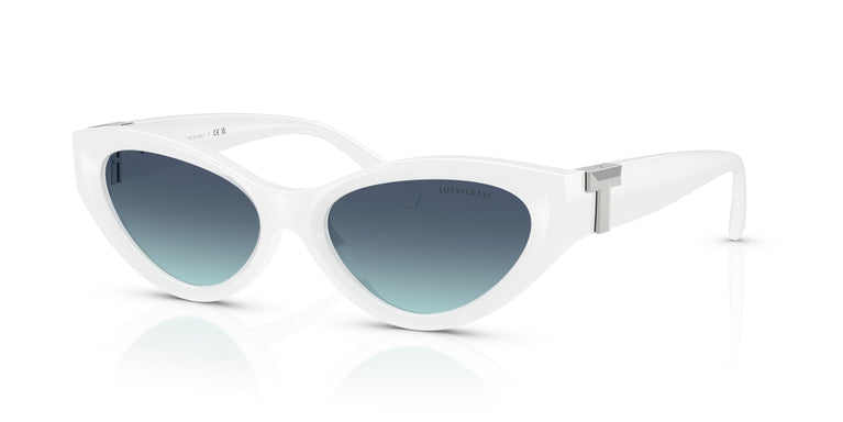 Tiffany TF4225U  83929S 54