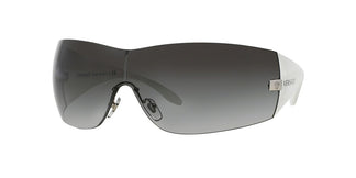 Versace VE2054 10008G 41