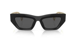 Versace VE4432U GB1/87 53