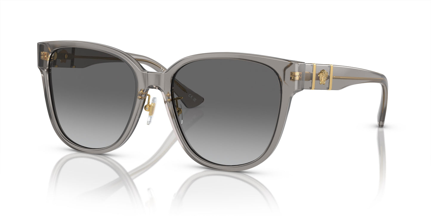 Versace VE4460D 540611 57