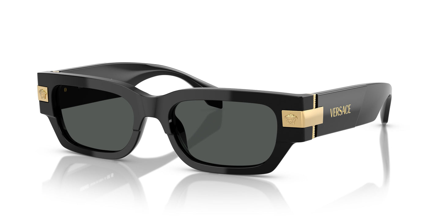 Versace VE4465 GB1/87 53