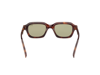 Zegna EZ0239 52N 51